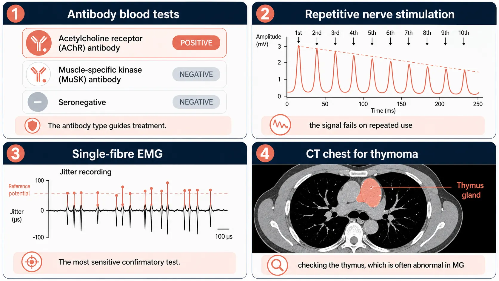 The tests used to diagnose myasthenia gravis: acetylcholine receptor and MuSK antibodies, repetitive nerve stimulation, single-fibre EMG, and CT of the chest for thymoma.