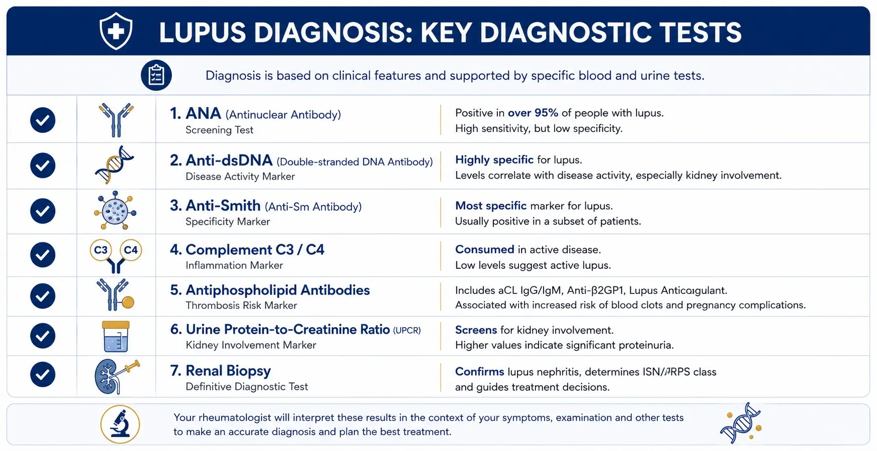 Blood tests used to diagnose lupus: ANA, anti-dsDNA, anti-Smith, complement C3 and C4, antiphospholipid antibodies, urine protein-to-creatinine ratio and renal biopsy
