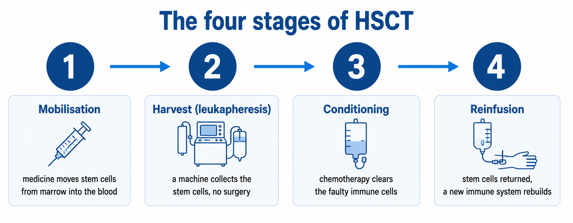 The four stages of a stem cell transplant for MS, mobilisation, harvest, conditioning and reinfusion