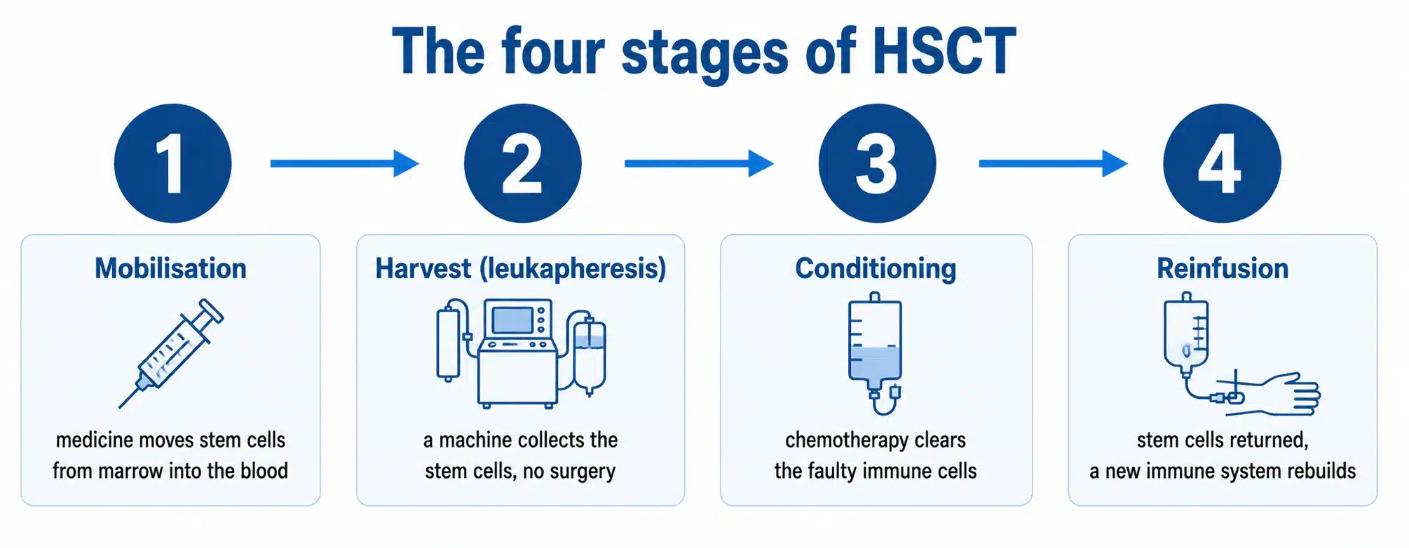 The four stages of HSCT for multiple sclerosis labelled mobilisation, harvest, conditioning and reinfusion
