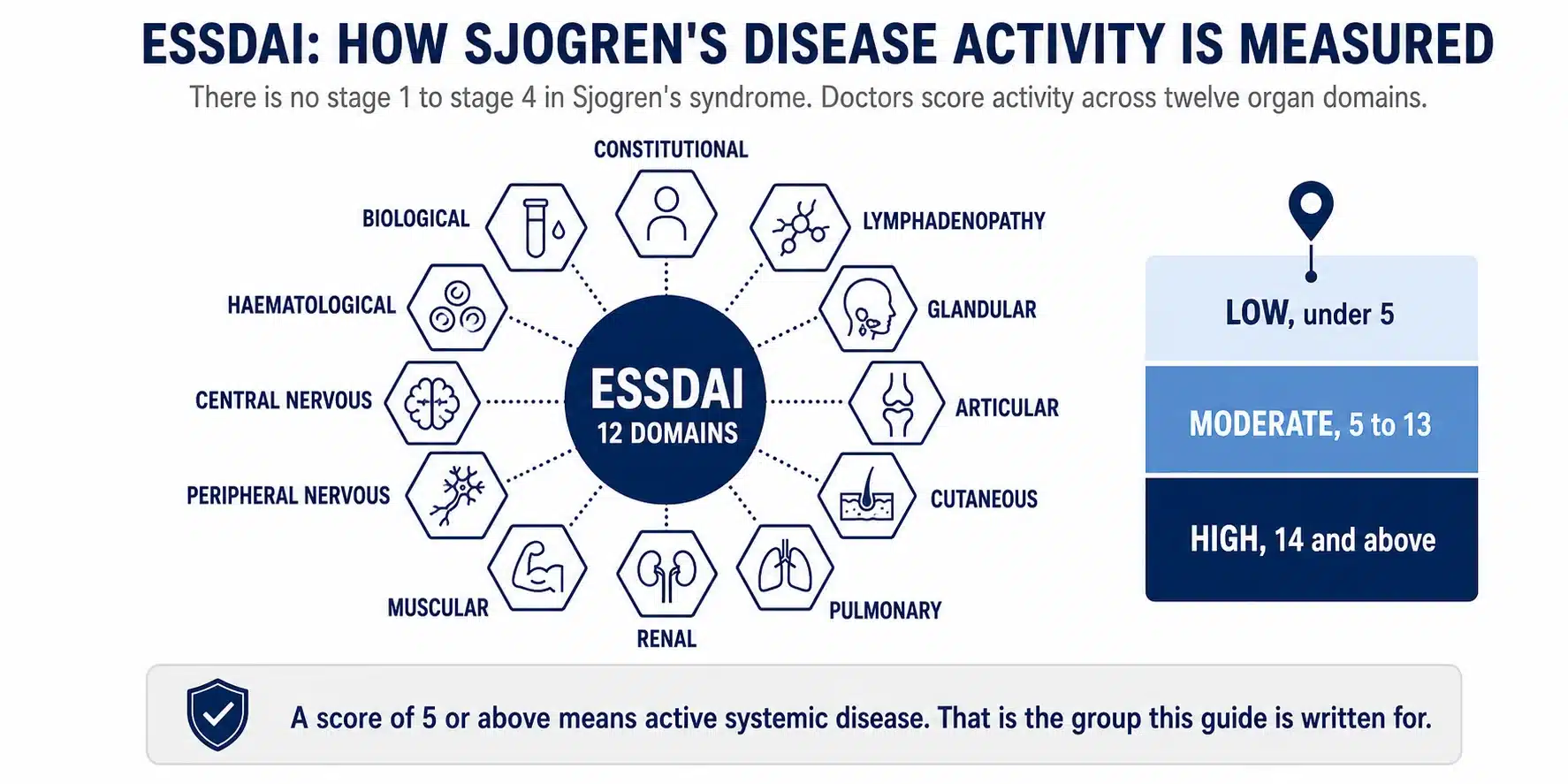 The ESSDAI score, how Sjogren's disease activity is measured across twelve organ domains, low under 5, moderate 5 to 13, high 14 and above.
