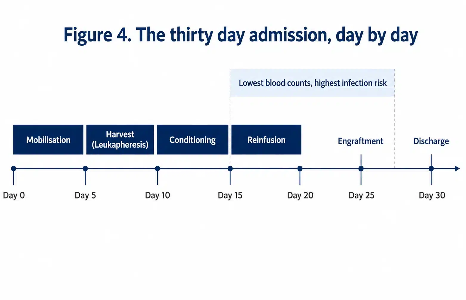 Timeline of the thirty day HSCT admission from mobilisation to discharge