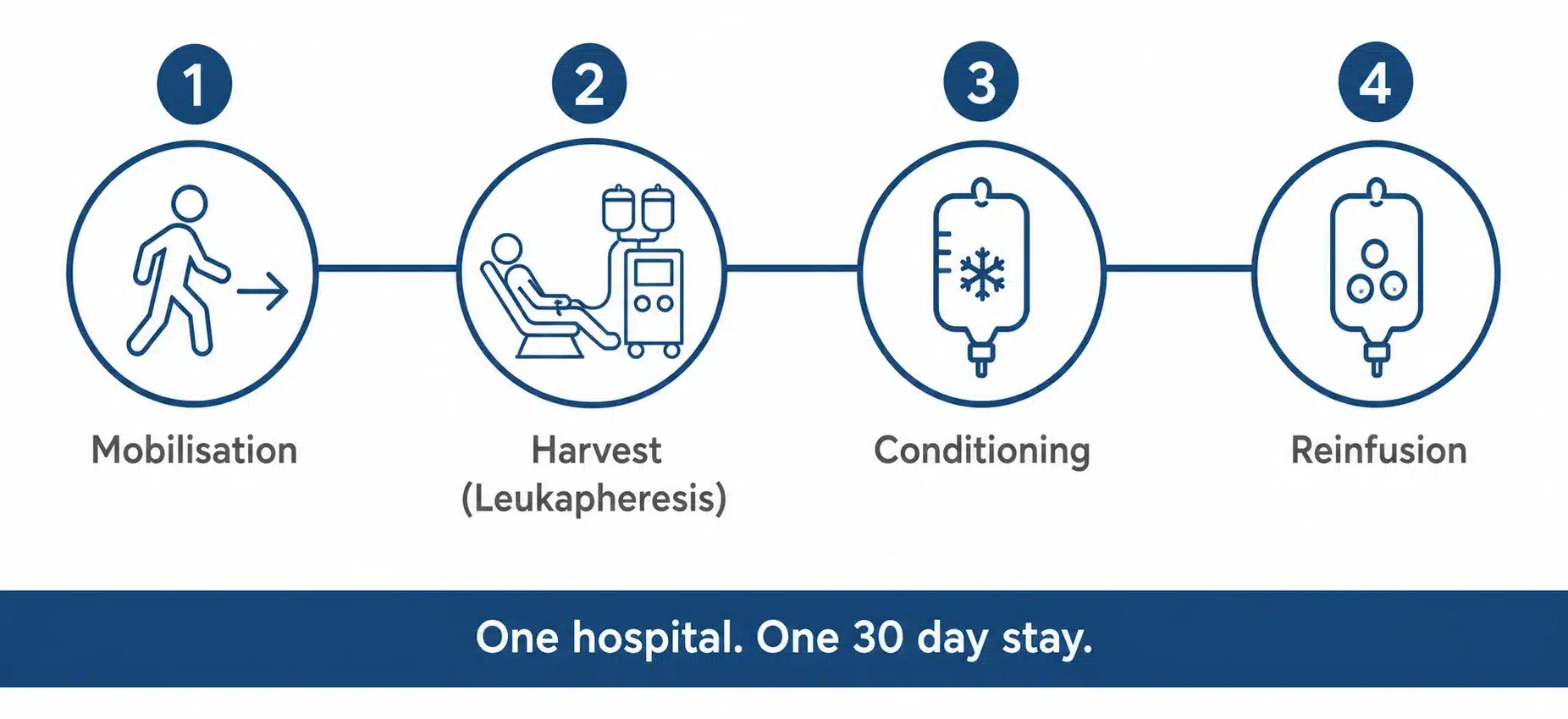 The four stages of HSCT shown in order, Mobilisation, Harvest or leukapheresis, Conditioning and Reinfusion, completed in one hospital across one 30 day stay