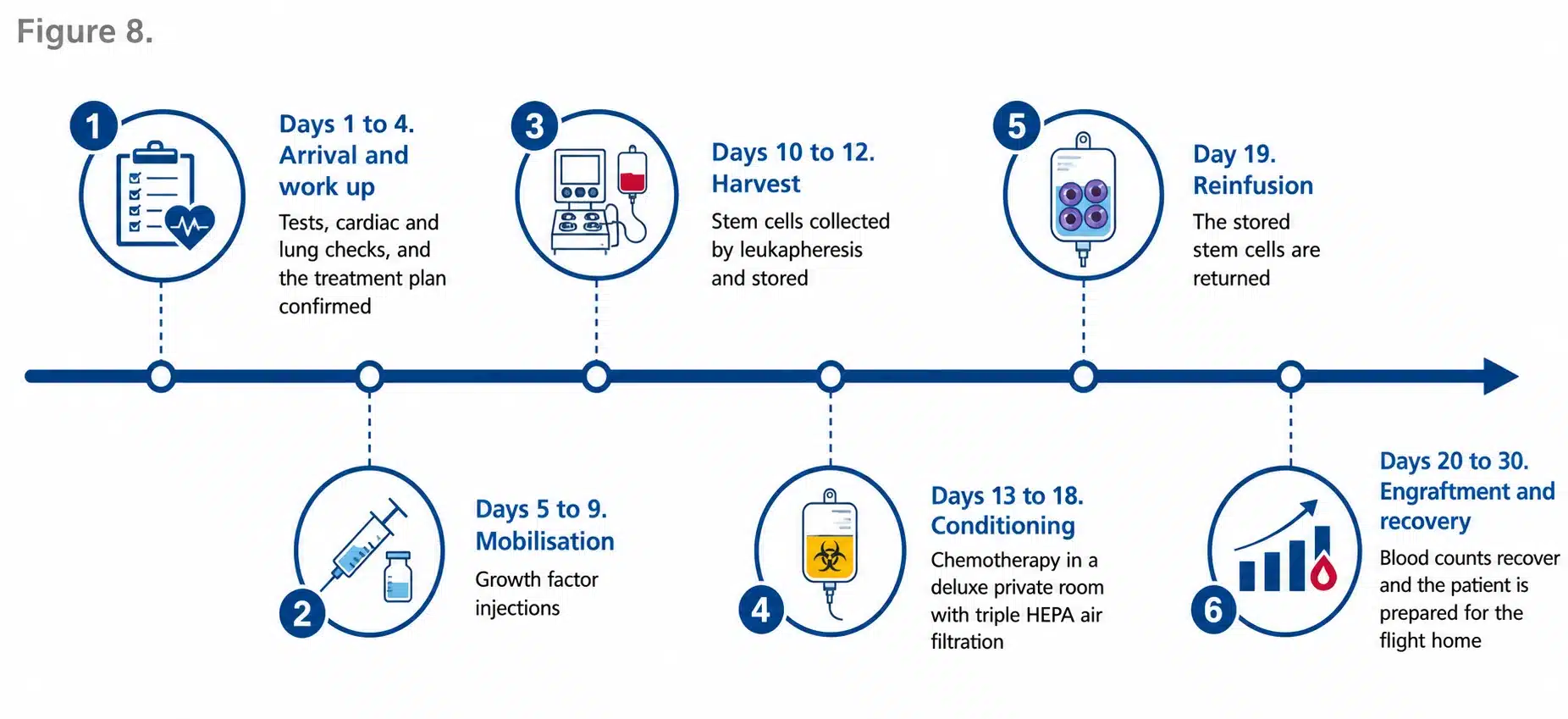 The 30 day inpatient HSCT programme at HSCT Hospital India, from arrival and work up through mobilisation, harvest, conditioning, reinfusion and recovery.