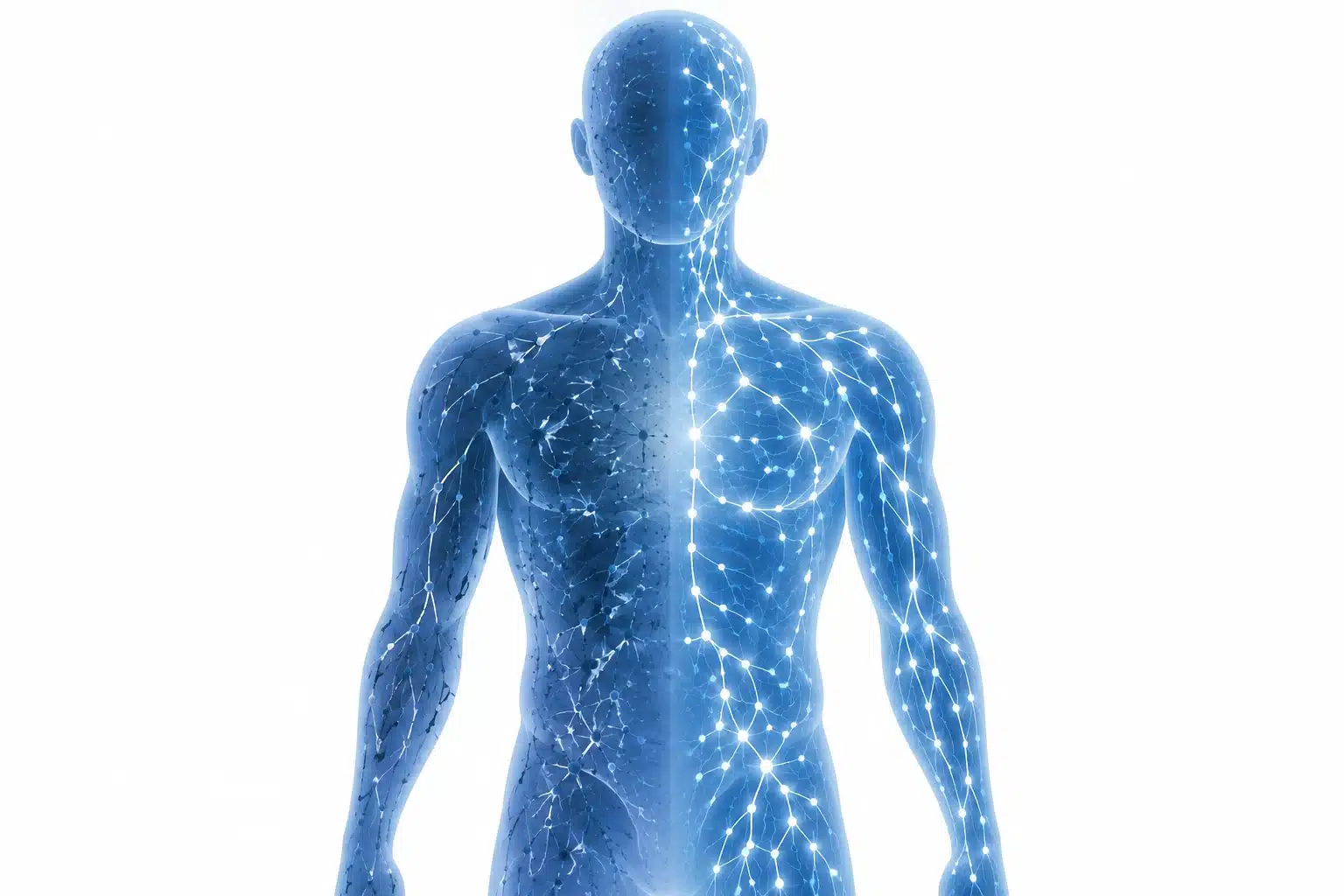 How HSCT resets the immune system in multiple sclerosis