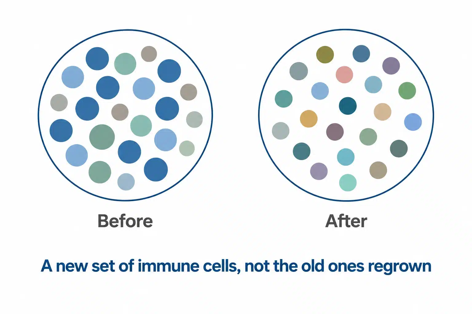 Immune cell repertoire before and after HSCT for multiple sclerosis